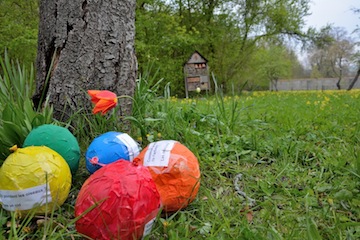 surprises cachées au verger d'asnières sur oise