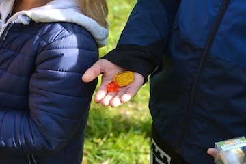 Une pièce en or provenant du coffre caché au verger d'Asnières sur Oise