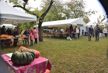 Une adhérente actionne le pressoir lors de la Fête de la Pomme