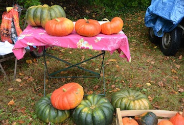 Pressoir à pommes au verger d'Asnières sur Oise