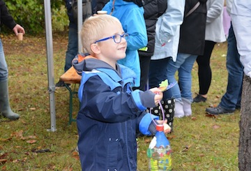 Affichage des dessins d'enfants à la Fête de la Pomme