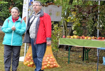 Les enfants pêchent des pommes au Verger d'Asnières sur Oise