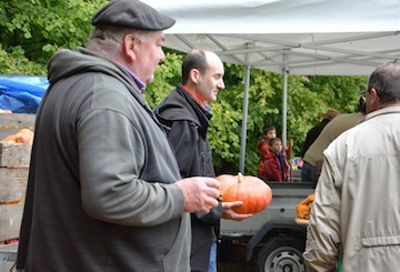 On pique-nique au verger d'asnières sur Oise