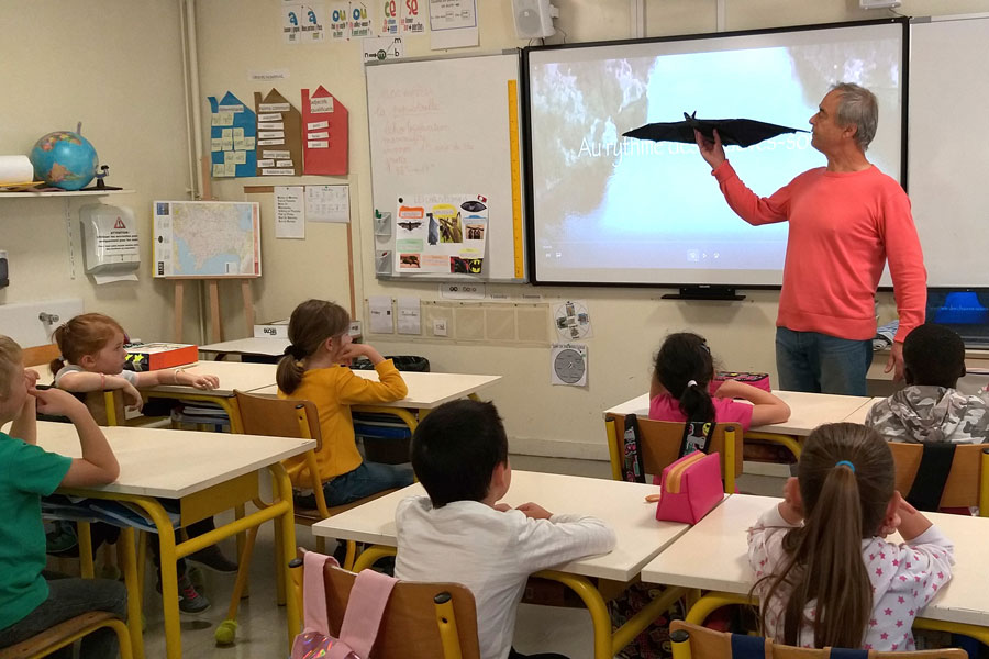 explications animées dans les écoles