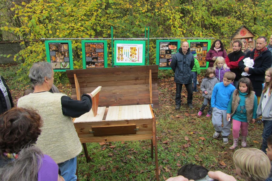 les enfants attentifs aux explication sur la ruche