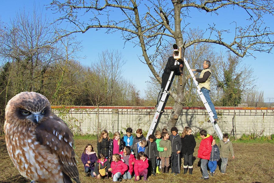 les enfants du verger derrière la chouette