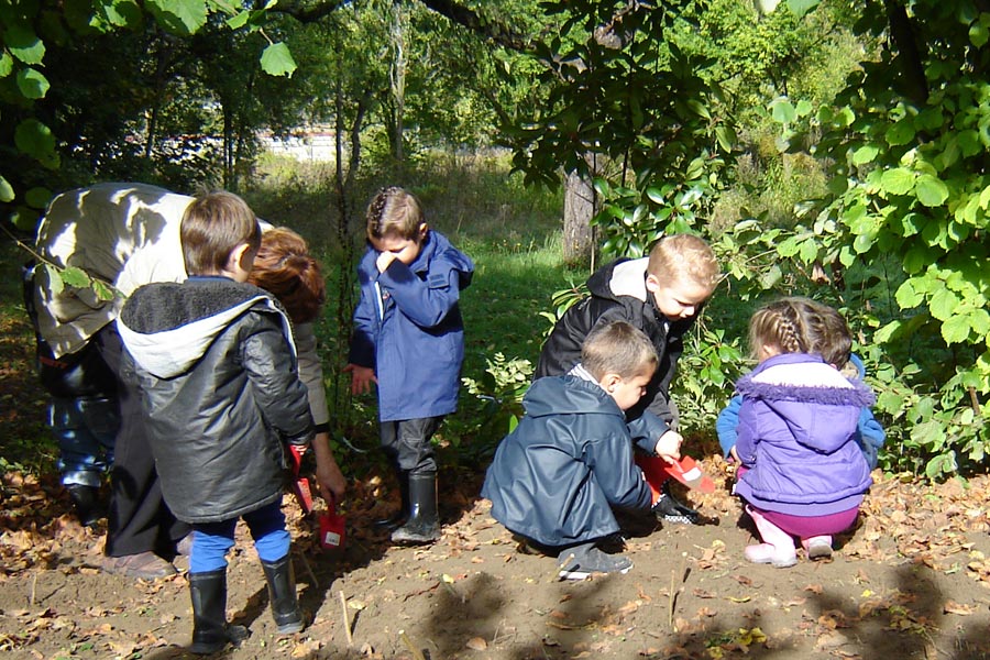 les enfants des écoles plantent des bulbes dans le verger