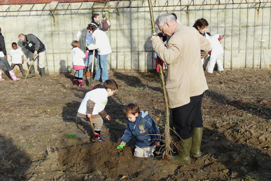 les adultes montrent aux enfants comment planter un arbre